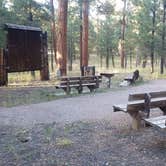 Review photo of Jemez Falls Campground by Alan B., October 12, 2019