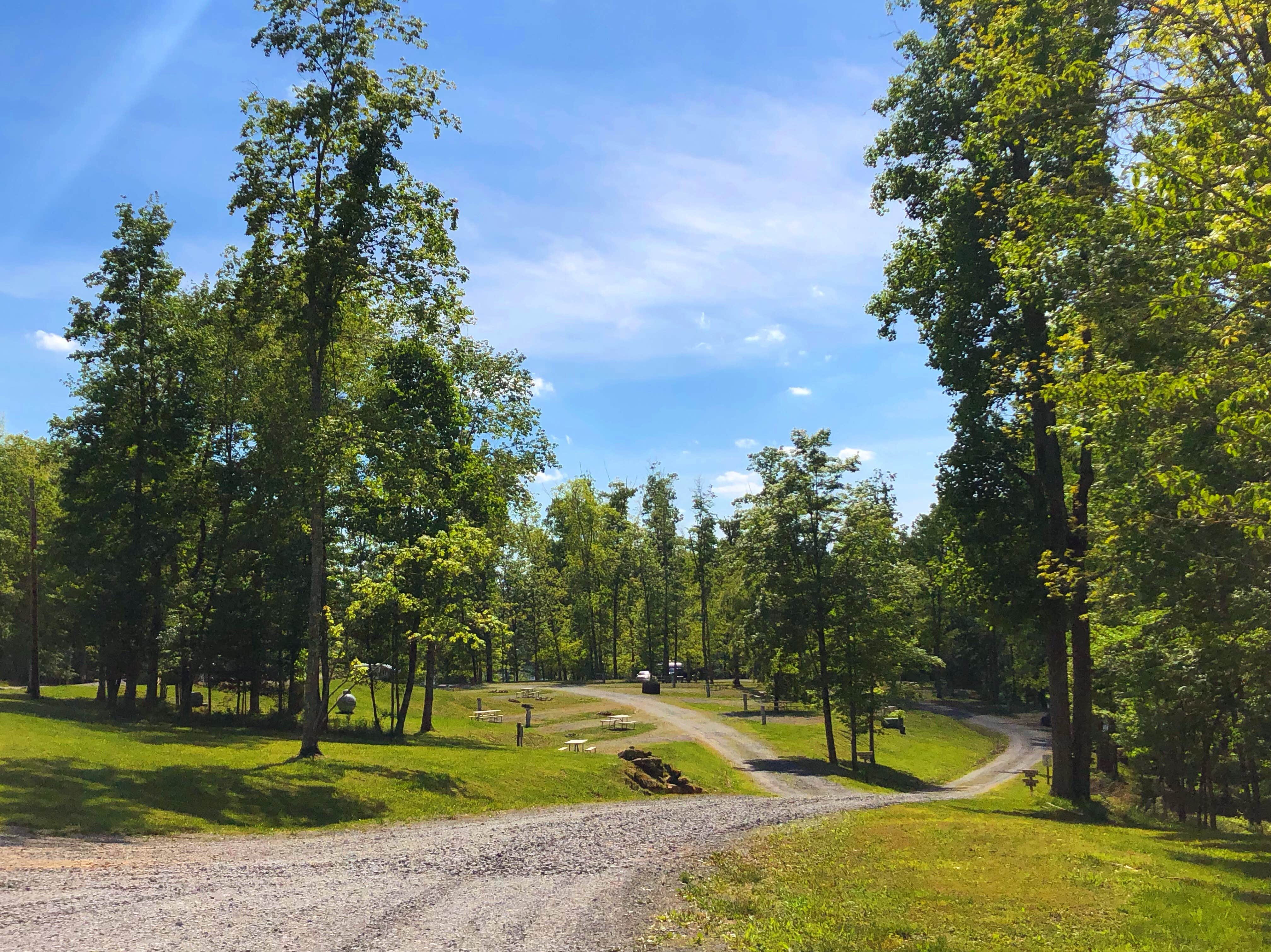 Camper submitted image from Mountain Lake Campground and Cabins - 5