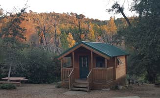 Berton M.'s photo of glamping accommodations at William Heise County Park near Potrero, CA