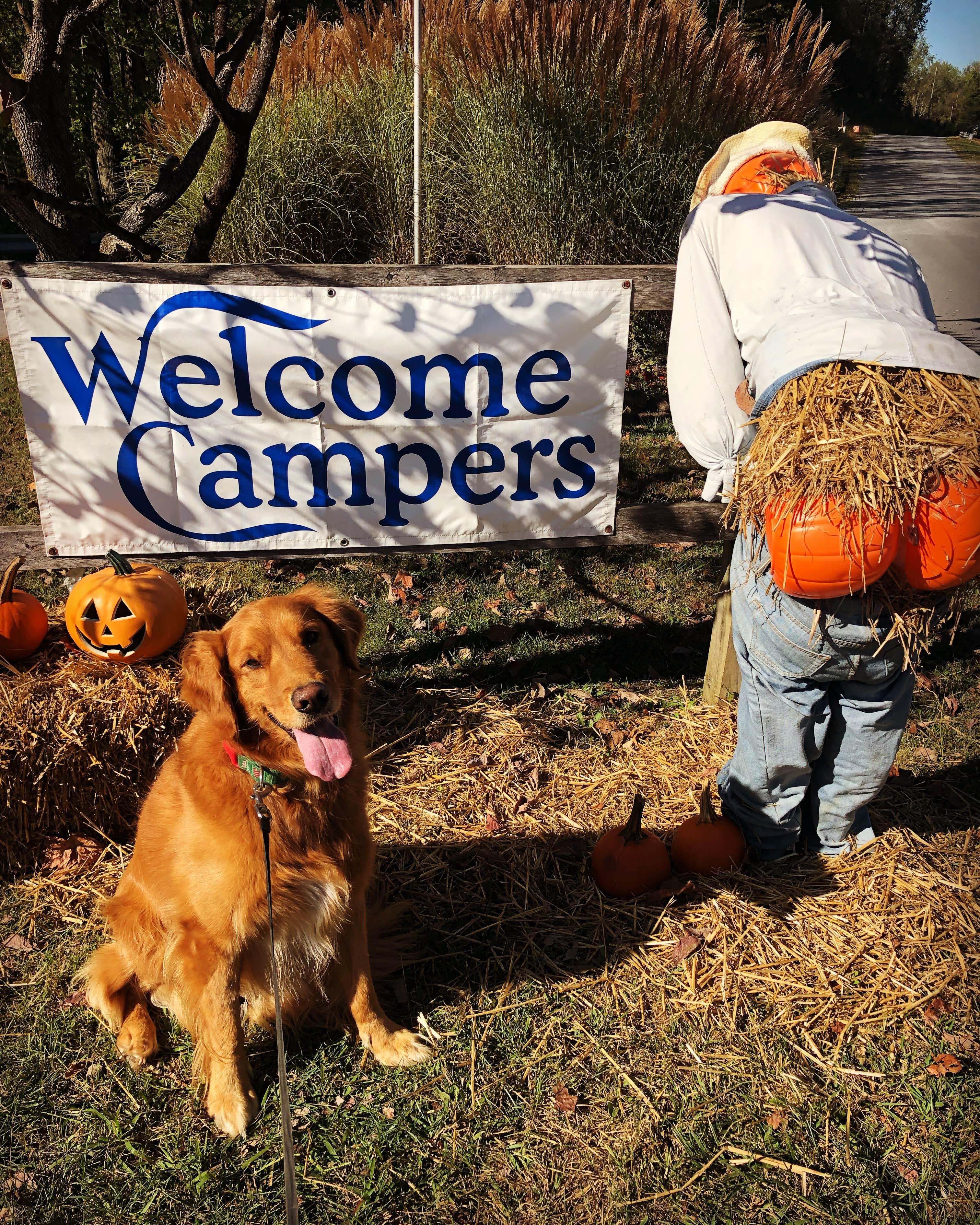 Mounatin Lake  C.'s photo of camping with pets at Mountain Lake Campground and Cabins near Lansing, WV