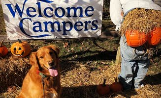 Mounatin Lake C.'s photo of camping with pets at Mountain Lake Campground and Cabins near Summersville, WV