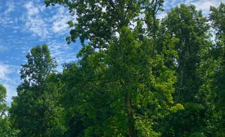 Mounatin Lake C.'s photo of rv camping at Mountain Lake Campground and Cabins near Craigsville, WV