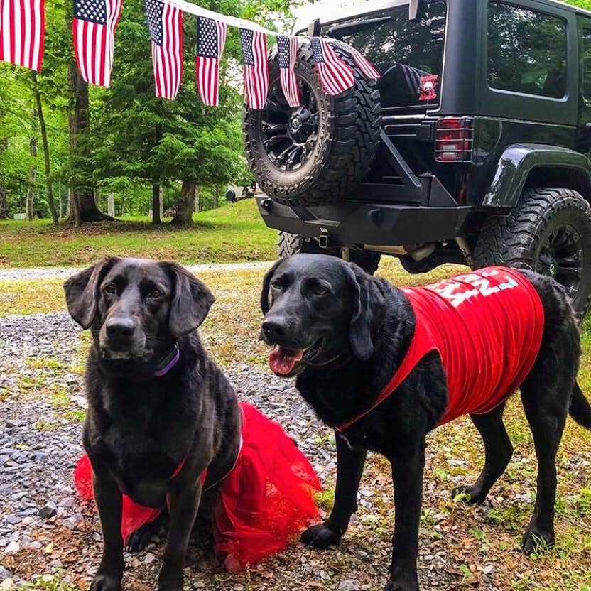 Mounatin Lake  C.'s photo of camping with pets at Mountain Lake Campground and Cabins near Summersville Lake