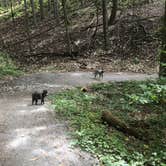Review photo of Fenton Lake Access - DFWR by Shelly S., August 15, 2017