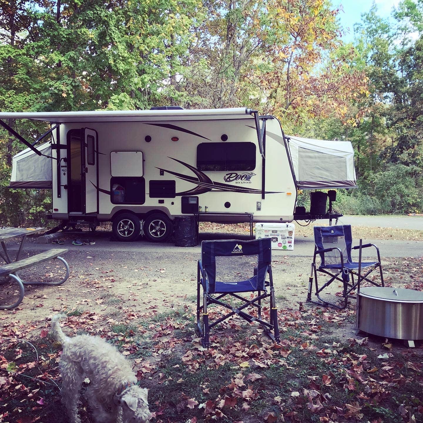 Jay A.'s photo of camping with pets at Alum Creek State Park Campground near Galloway, OH