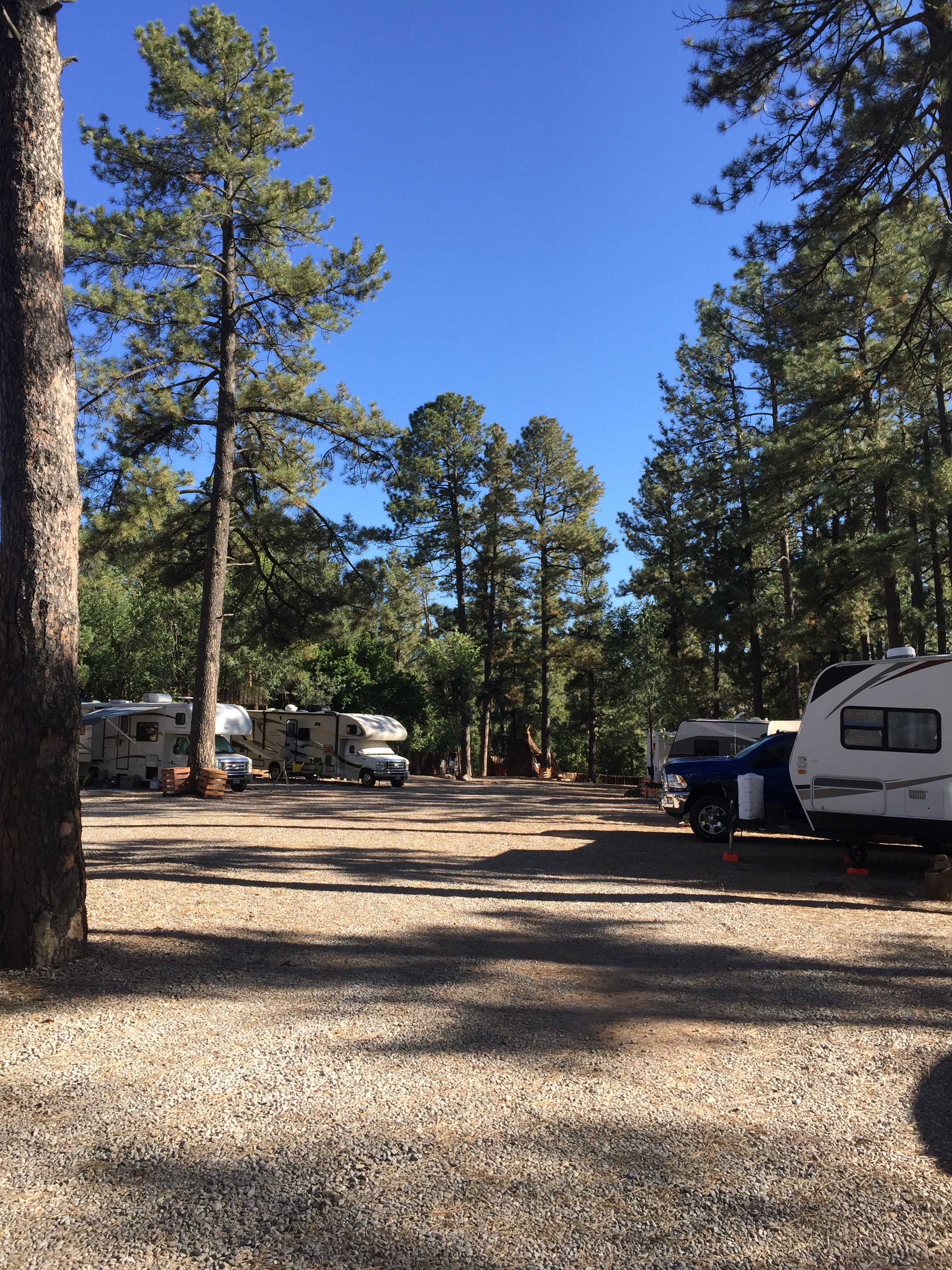 Camper submitted image from Midtown Mountain Campground & RV Park - 3