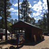 Review photo of Midtown Mountain Campground & RV Park by Phillip  W., October 12, 2019