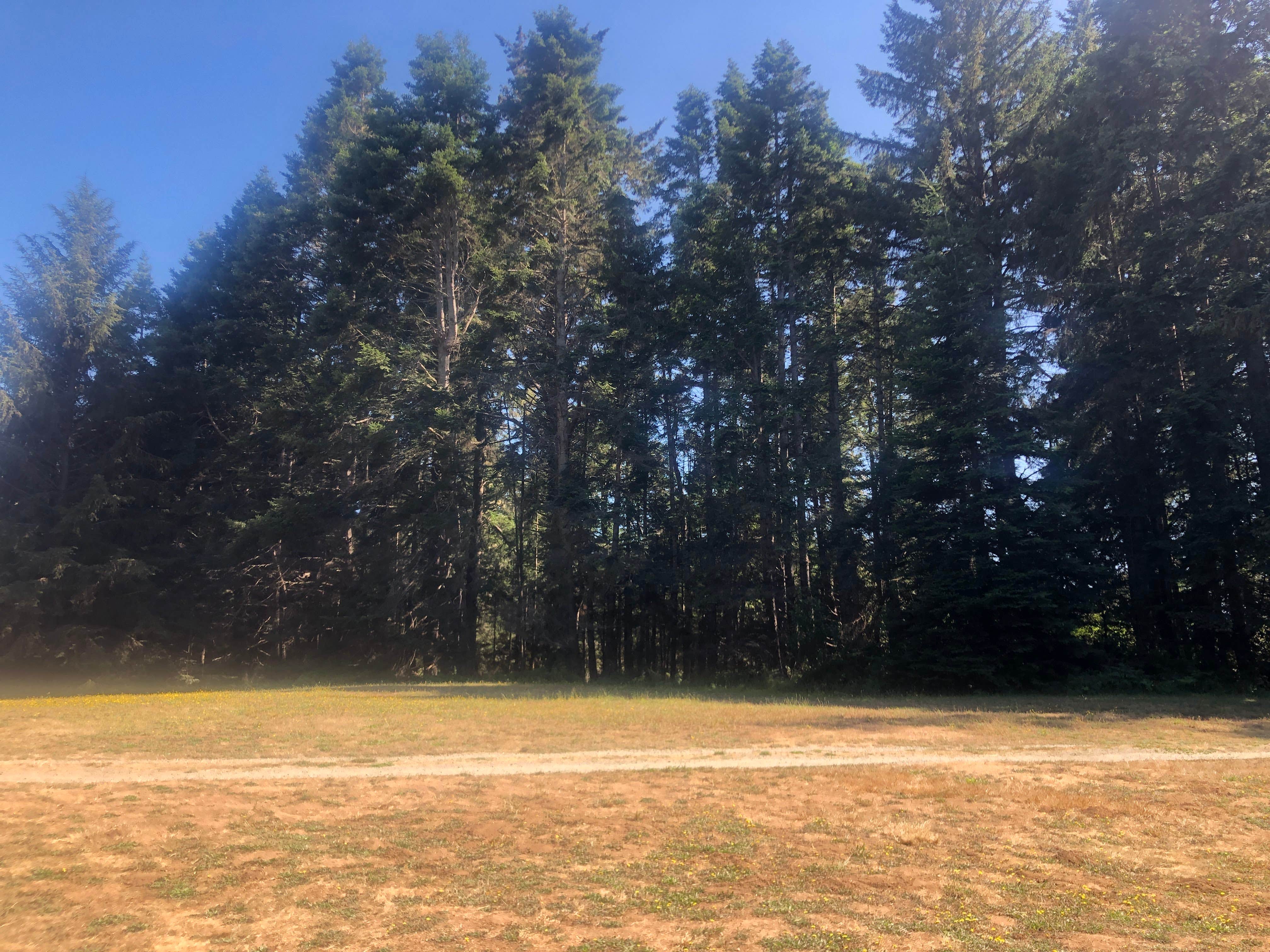 Camper-submitted photo at Jughandle Creek Farm near Albion, CA