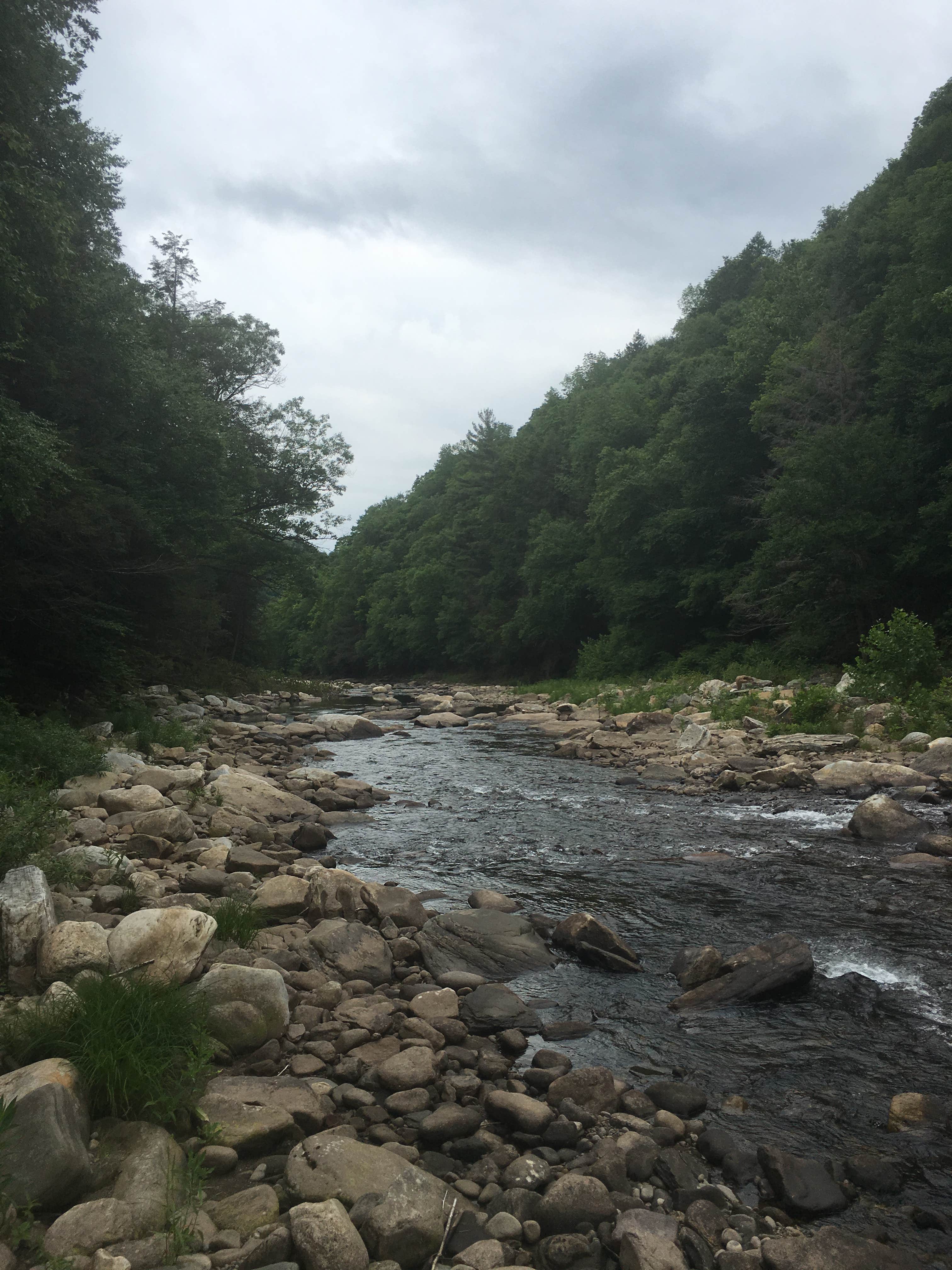 Camper submitted image from Worlds End State Park Campground - 3