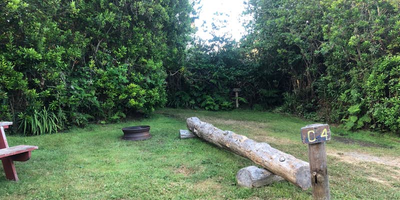 Camper submitted image from Woodside RV Park