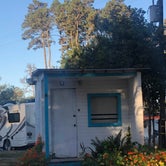 Review photo of Hidden Pines RV Park & Campground by Hayley K., October 12, 2019