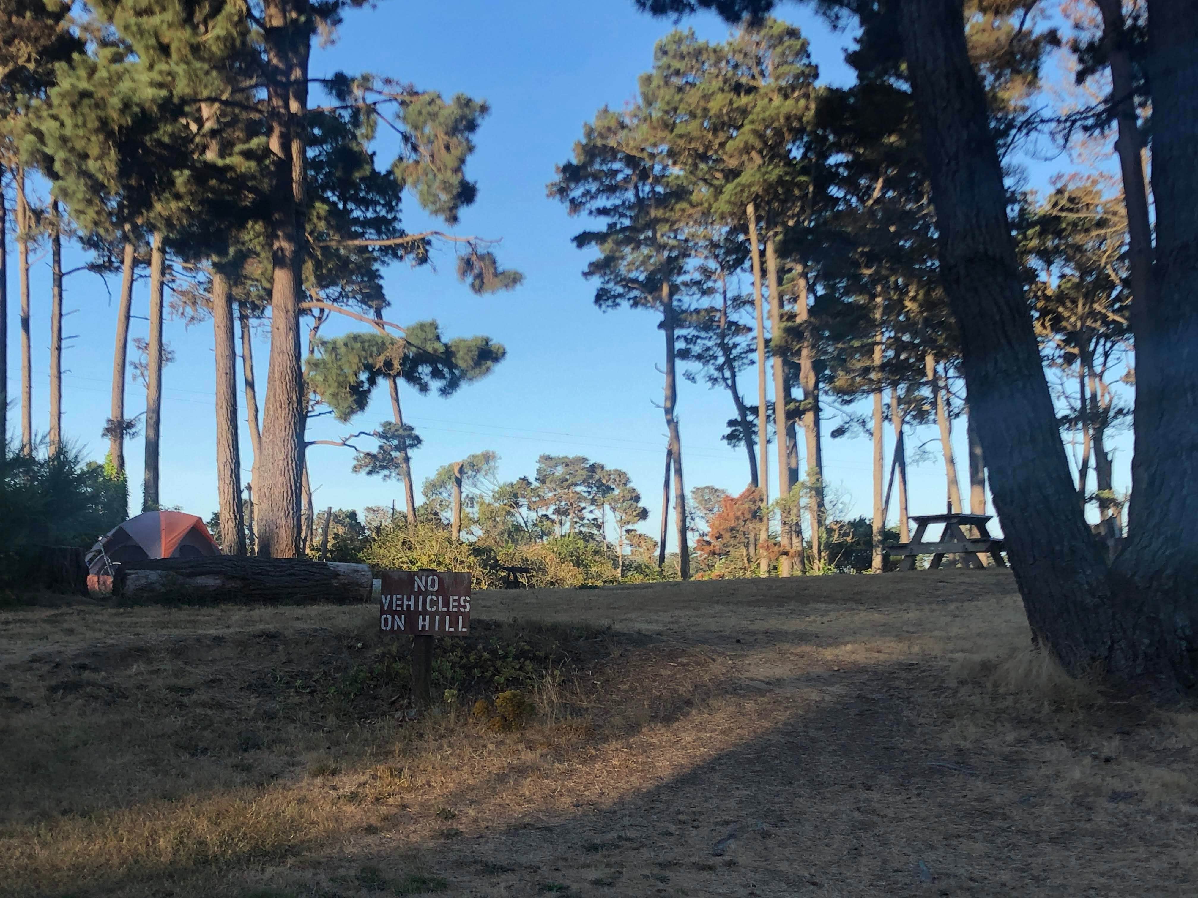 Walk up a hill for this "secluded" site.