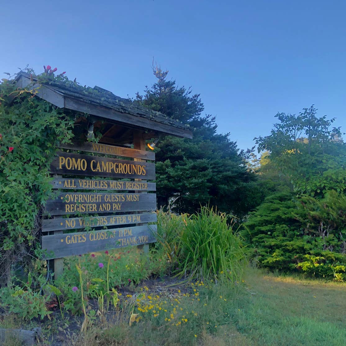 Pomo RV Park & Campground Camping The Dyrt