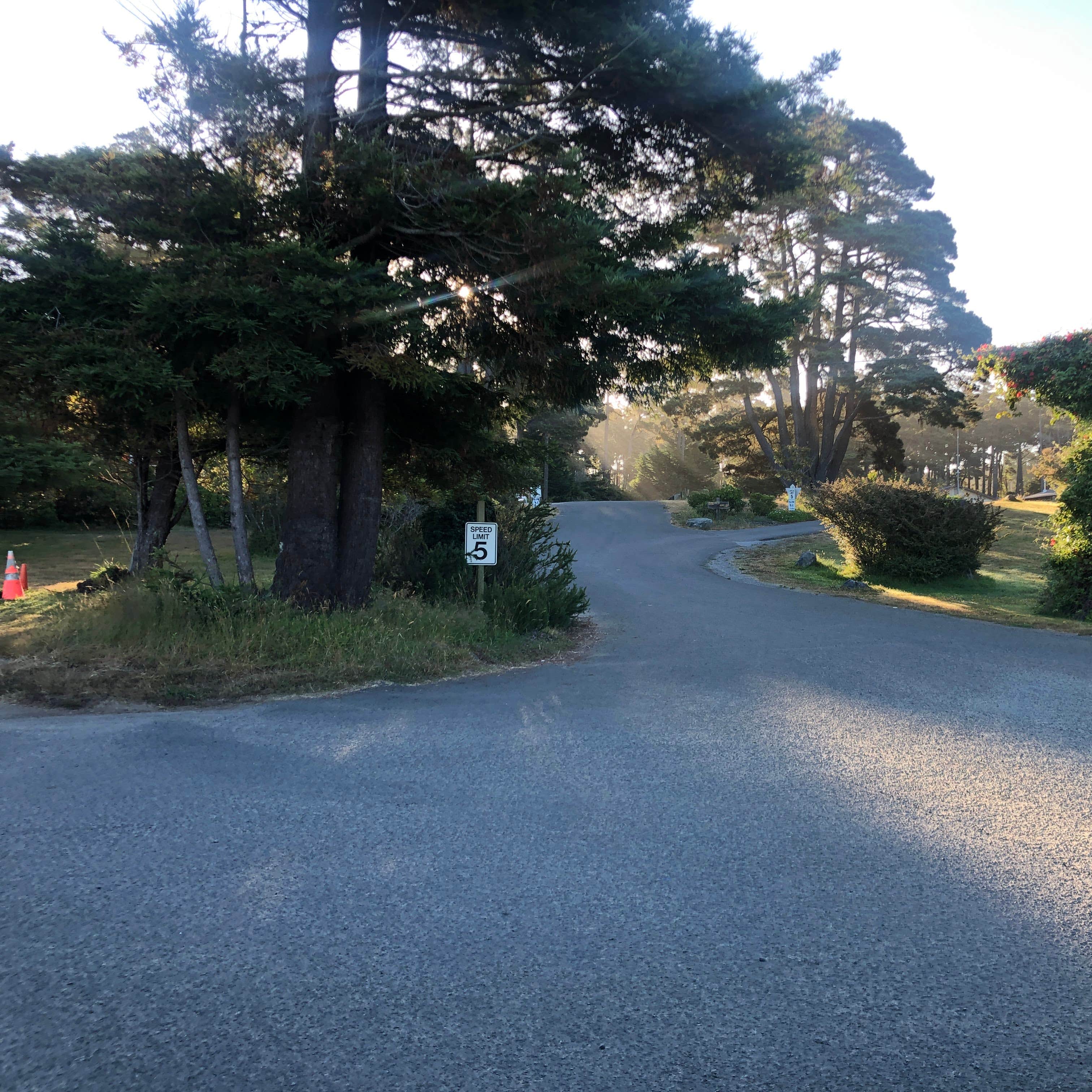 Pomo RV Park & Campground Camping The Dyrt