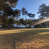 Review photo of Pomo RV Park & Campground by Hayley K., October 12, 2019