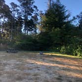 Review photo of Pomo RV Park & Campground by Hayley K., October 12, 2019