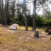 Review photo of Salt Point State Park Campground by Hayley K., October 12, 2019