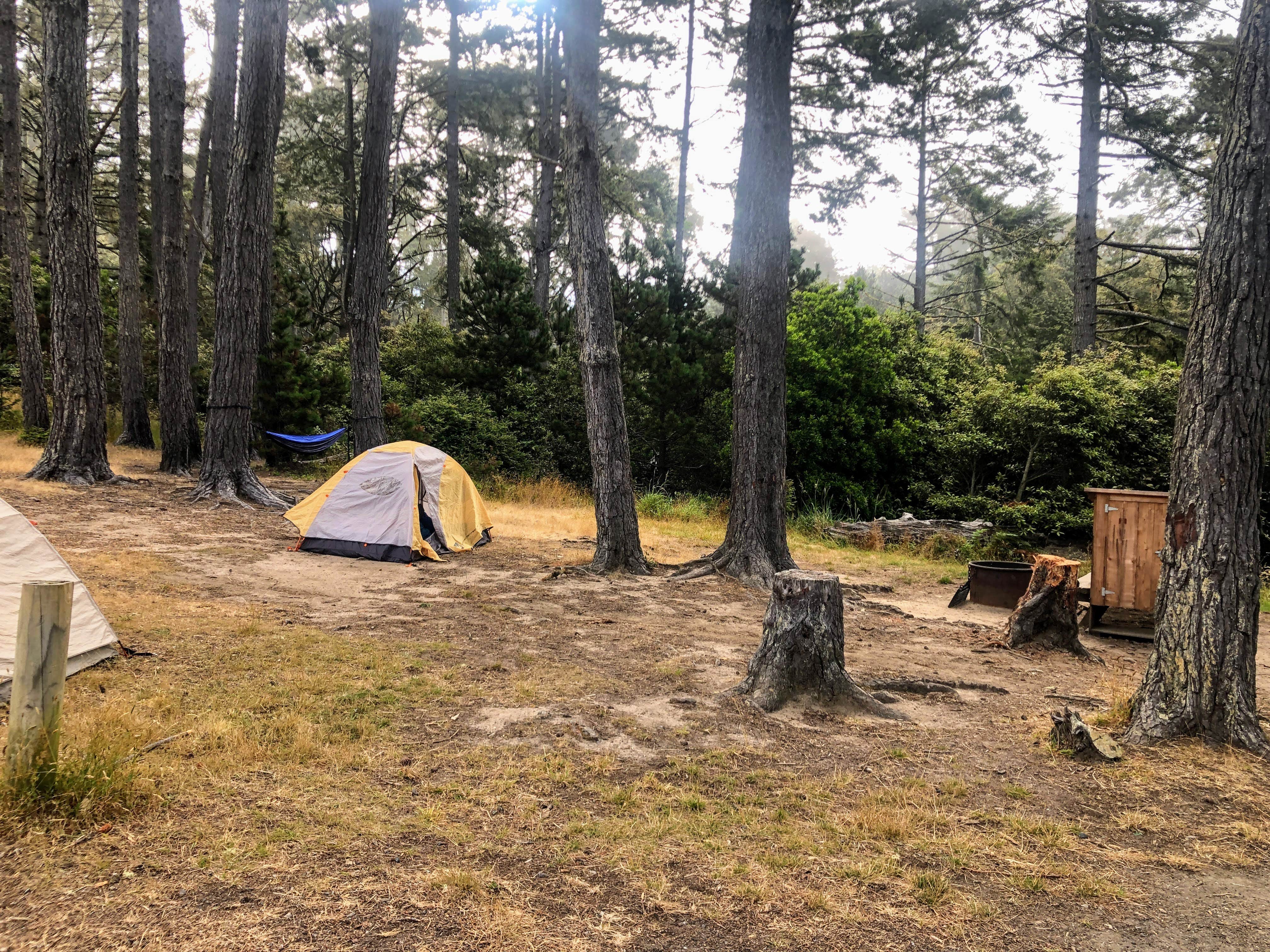 Camper submitted image from Salt Point State Park Campground - 5