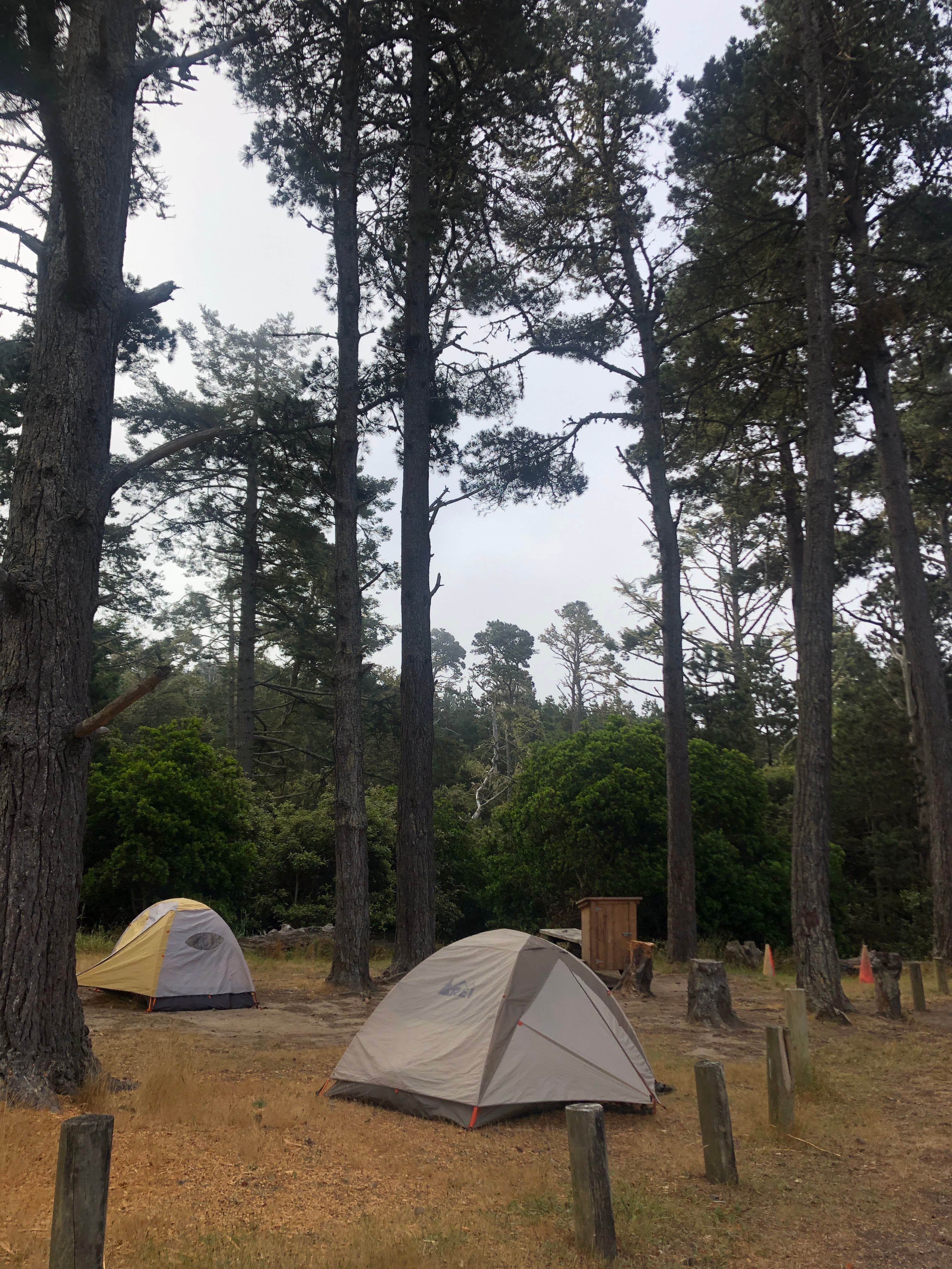 Hayley K.'s photo at Salt Point State Park Campground near Gualala, CA