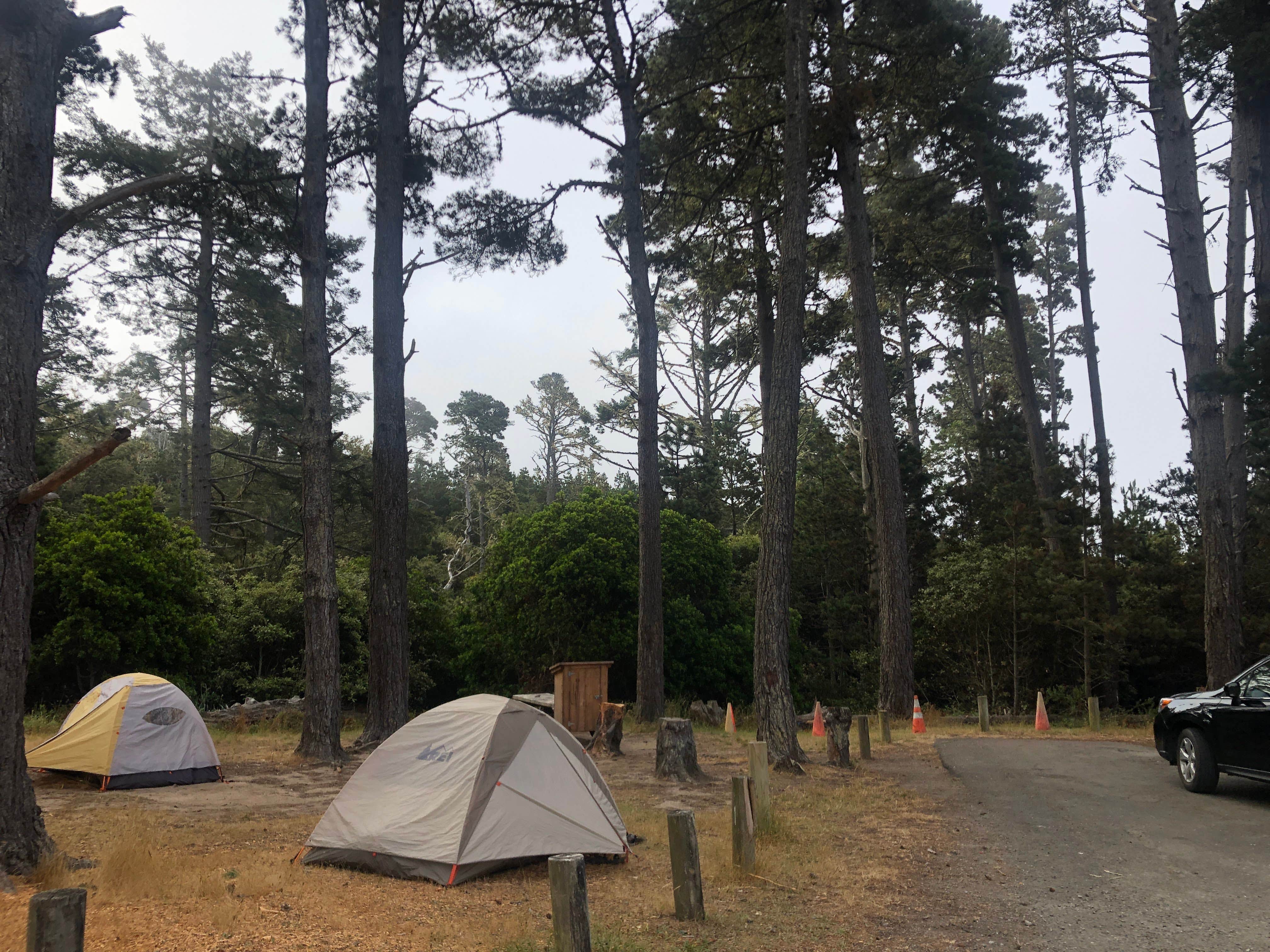 Hayley K.'s photo at Salt Point State Park Campground near Gualala, CA