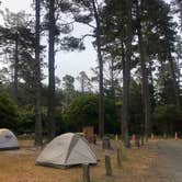 Review photo of Salt Point State Park Campground by Hayley K., October 12, 2019