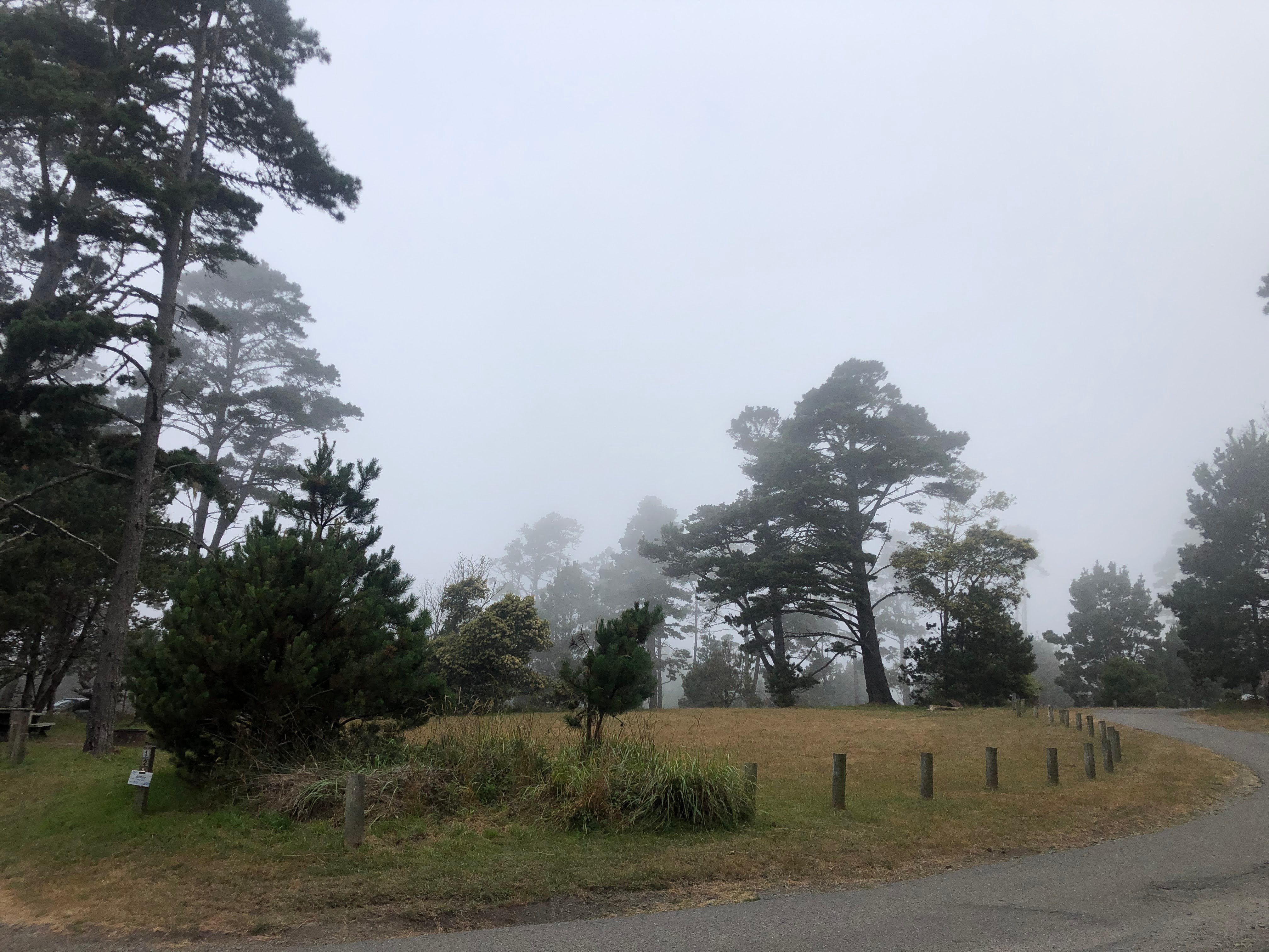 Camper submitted image from Gerstle Cove Campground — Salt Point State Park - 2