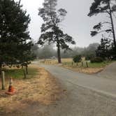 Review photo of Salt Point State Park Campground by Hayley K., October 12, 2019