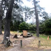 Review photo of Salt Point State Park Campground by Hayley K., October 12, 2019