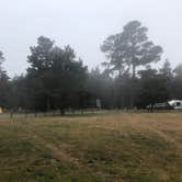 Review photo of Salt Point State Park Campground by Hayley K., October 12, 2019