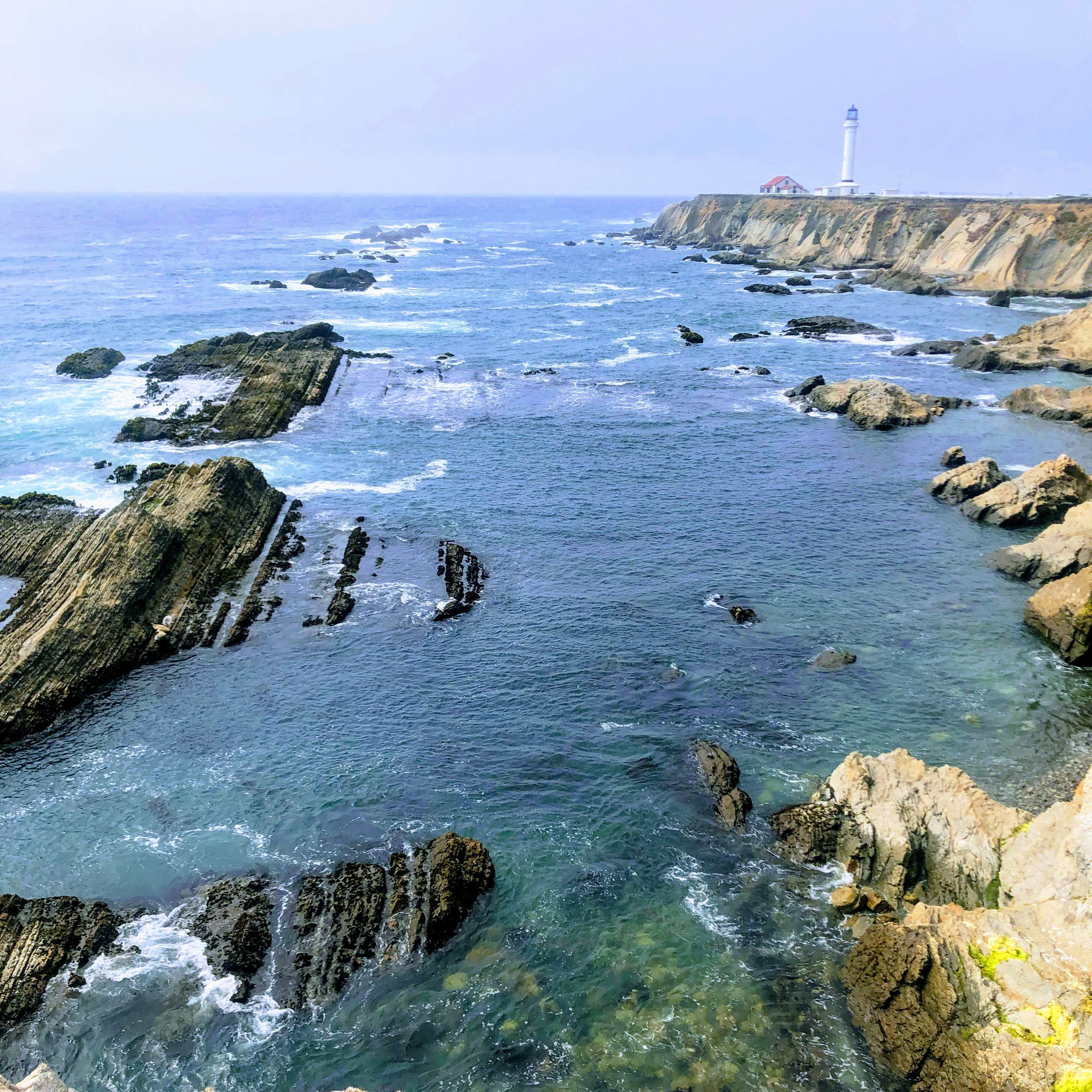 Camper-submitted photo at Ocean Cove Store and Campground near Cazadero, CA