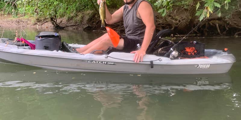 Camper submitted image from New Horizon RV Park