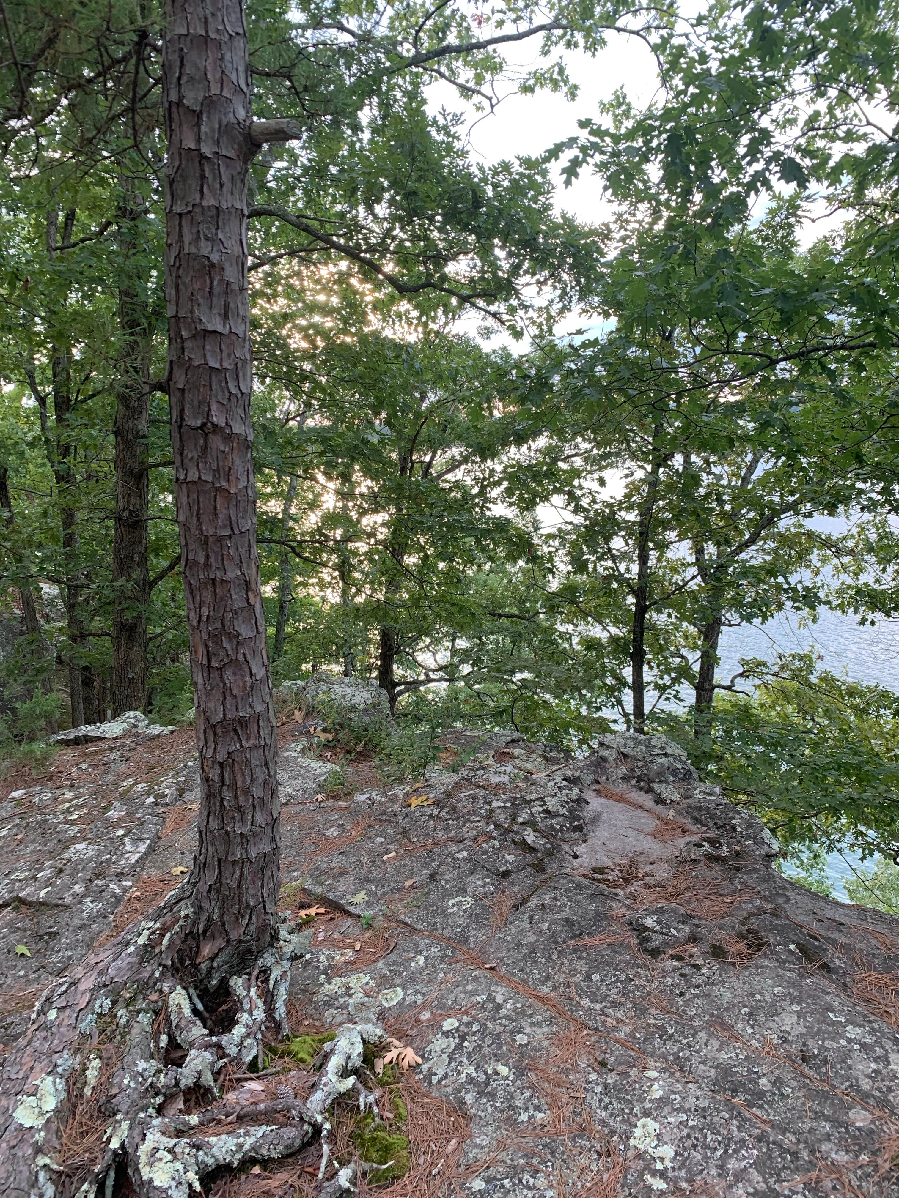 Camper-submitted photo at Jordan Campground near Norfork, AR