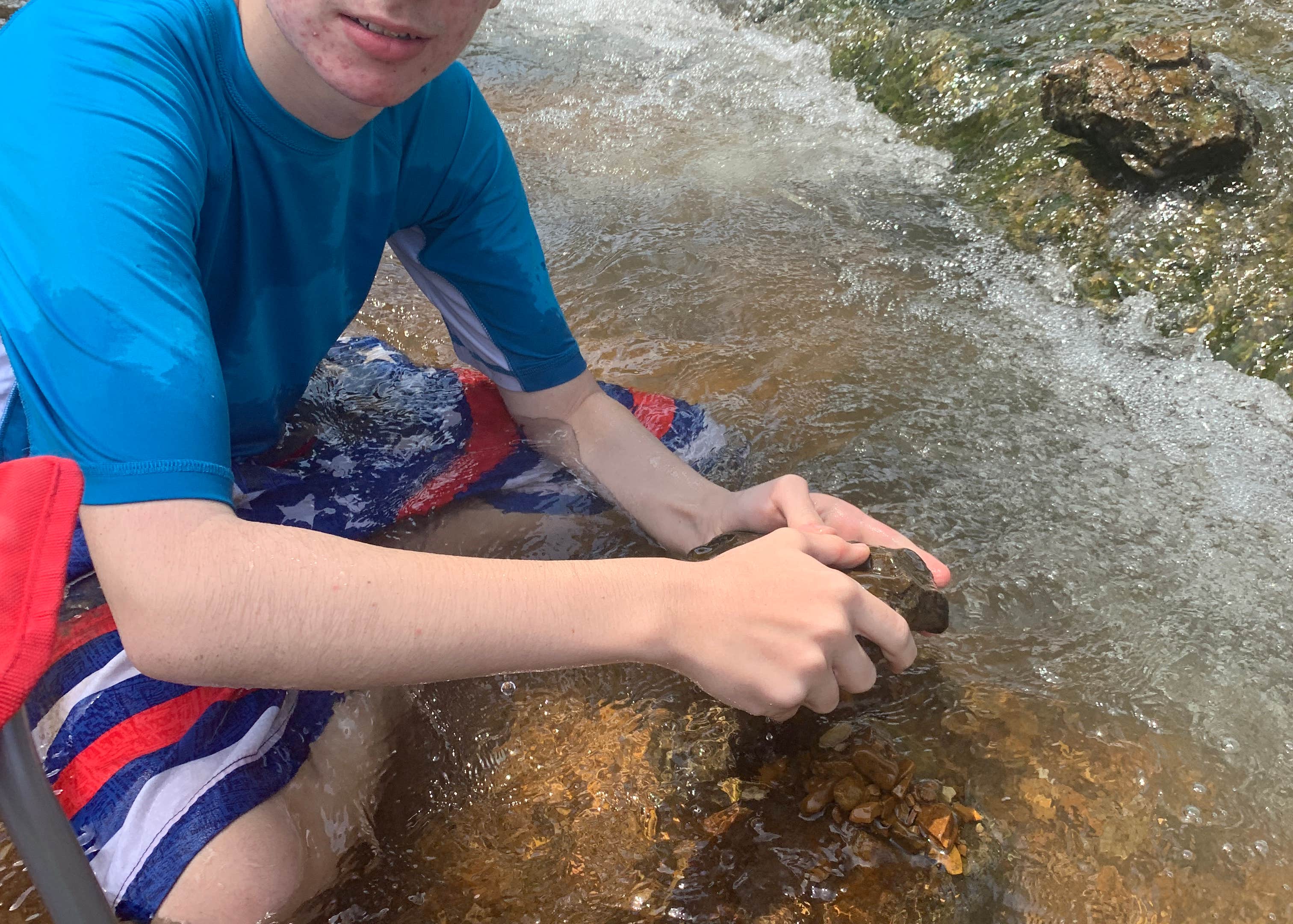 Hardy Camper Park Camping The Dyrt