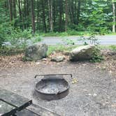 Review photo of Worlds End State Park Campground by Ally S., June 29, 2016