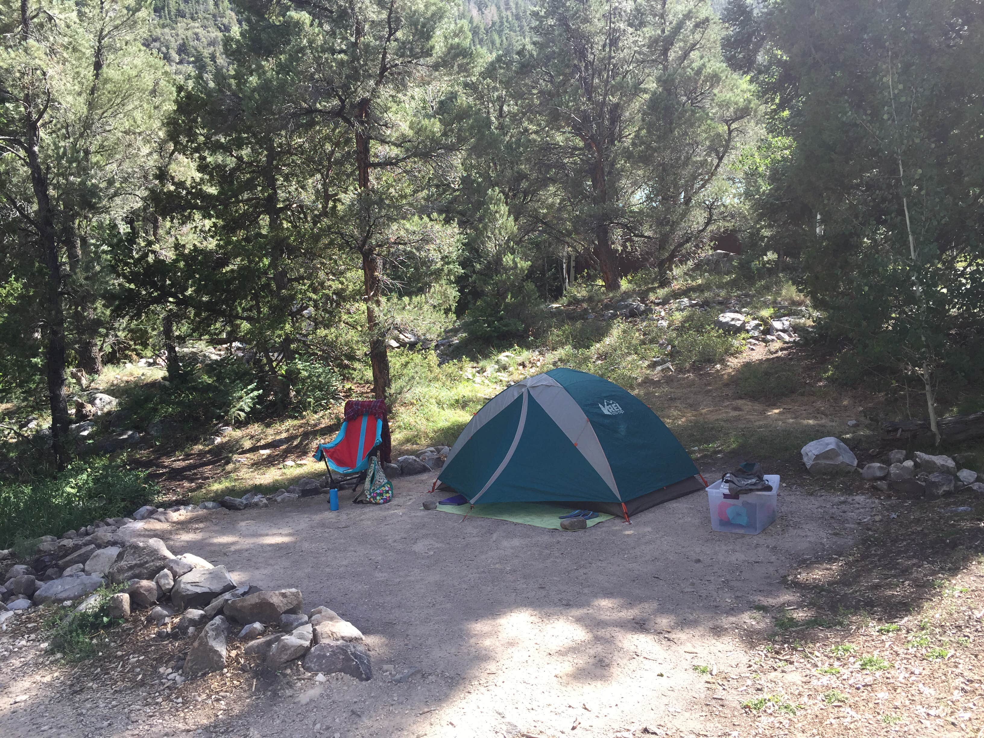 Samantha R.'s photo at Upper Lehman Creek Campground — Great Basin National Park near Great Basin National Park