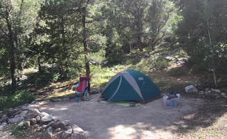 Samantha R.'s photo at Upper Lehman Creek Campground — Great Basin National Park near Great Basin National Park