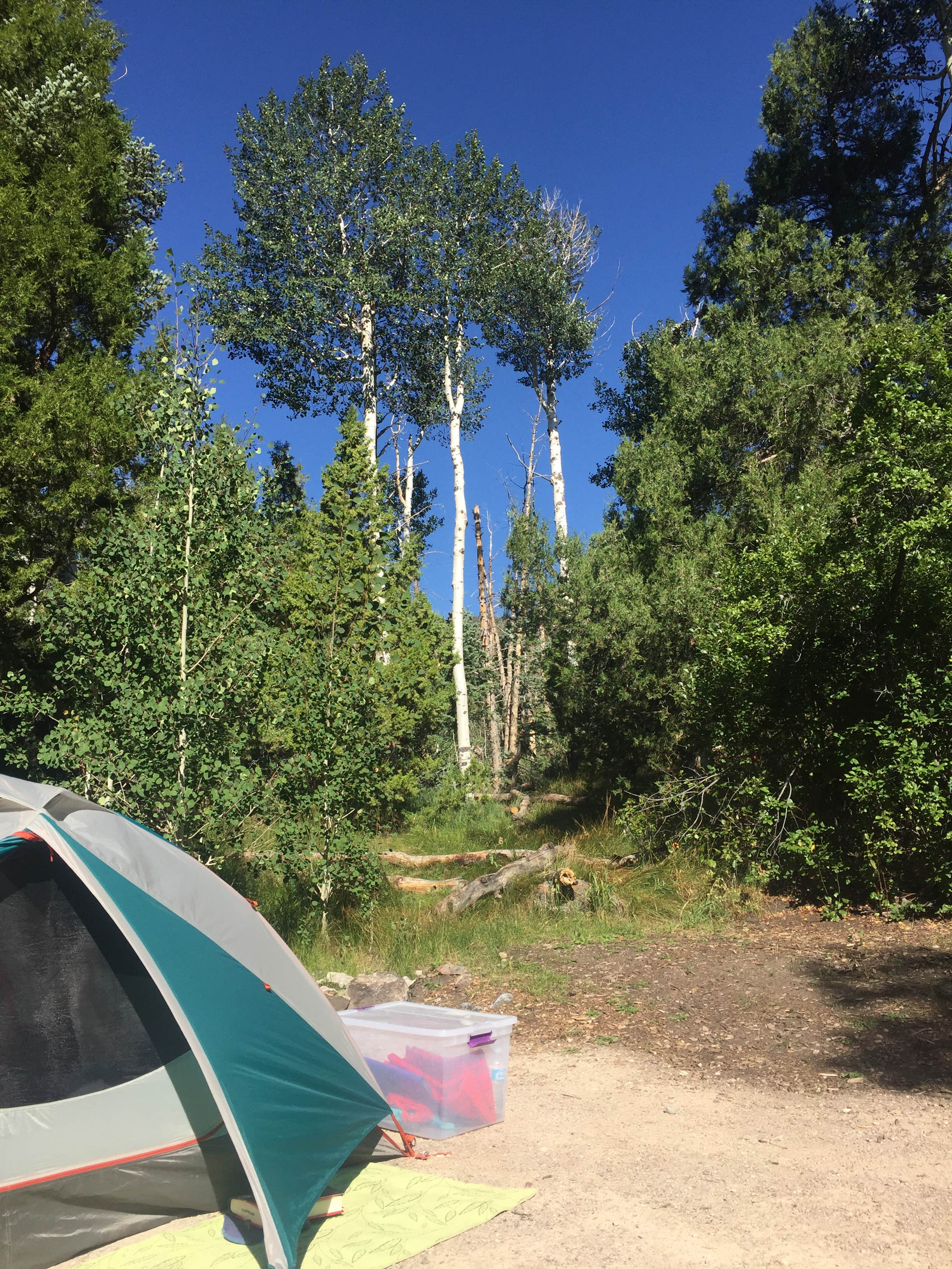 Samantha R.'s photo at Upper Lehman Creek Campground — Great Basin National Park near Great Basin National Park