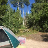 Review photo of Upper Lehman Creek Campground — Great Basin National Park by Samantha R., August 15, 2017