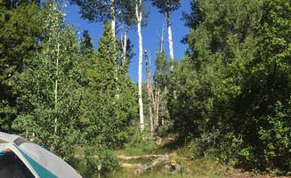 Samantha R.'s photo at Upper Lehman Creek Campground — Great Basin National Park near Great Basin National Park