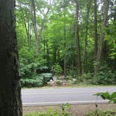 Review photo of Worlds End State Park Campground by Ally S., June 29, 2016