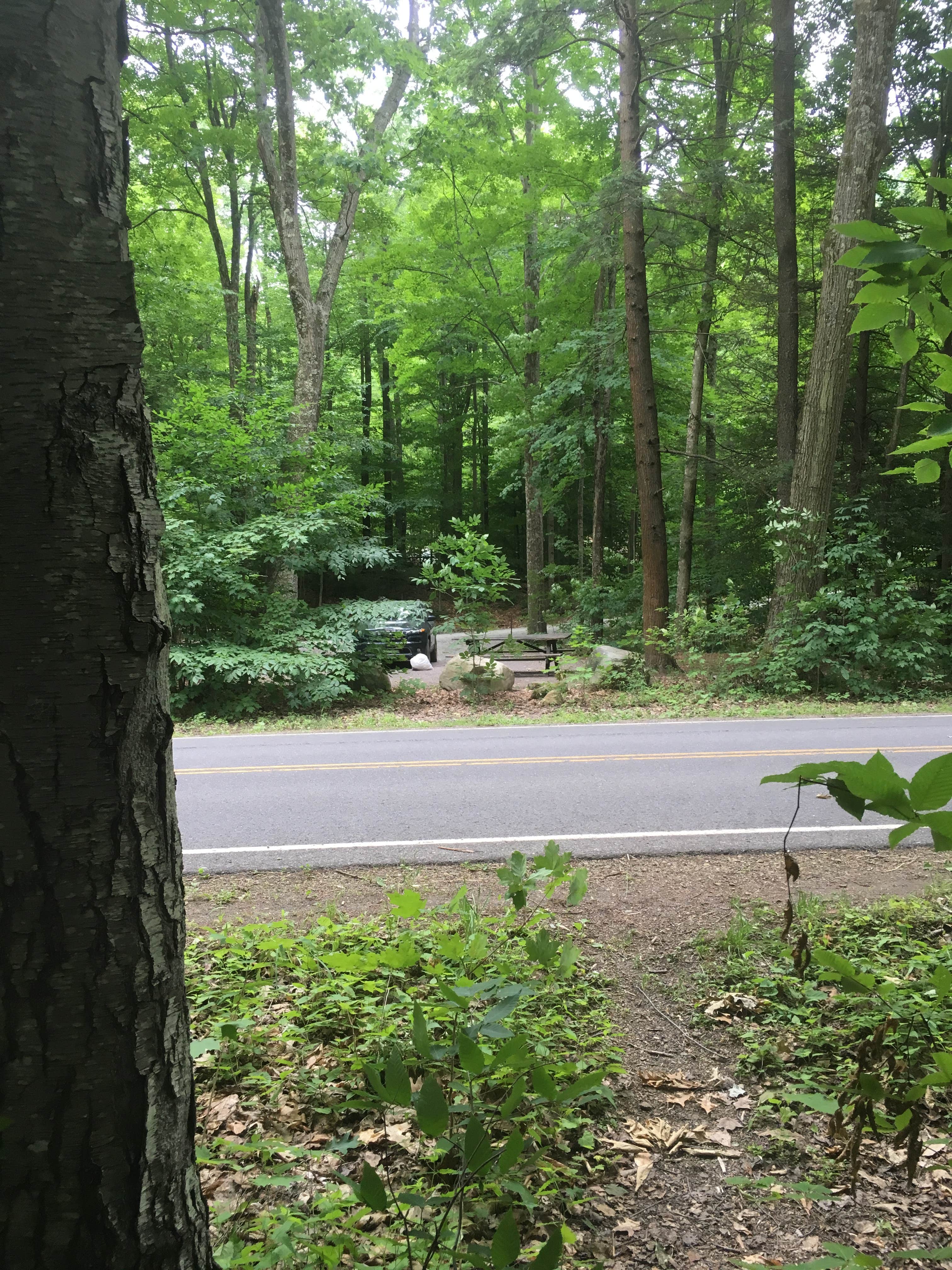 Camper submitted image from Worlds End State Park Campground - 4