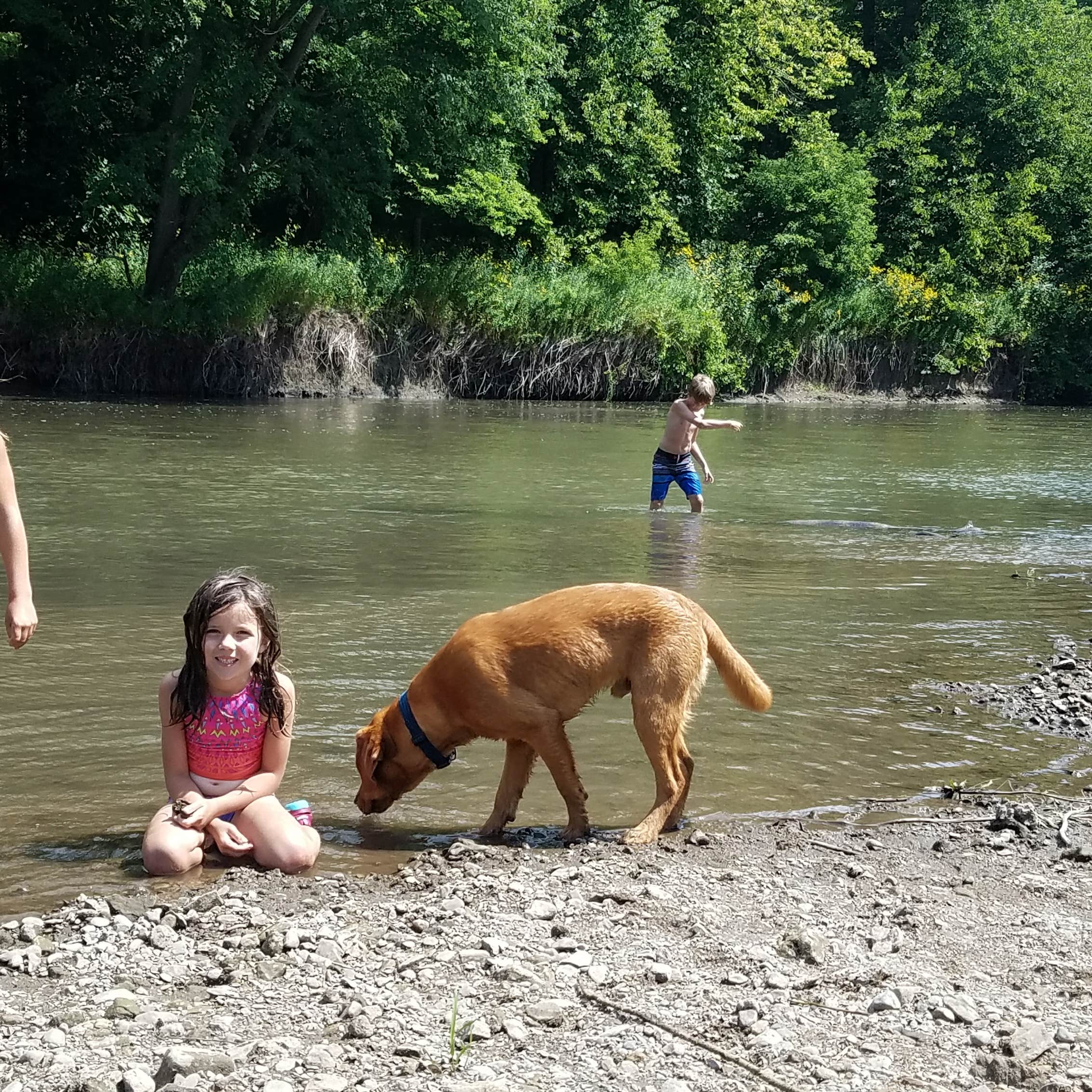 Bluff Valley Campground Camping The Dyrt