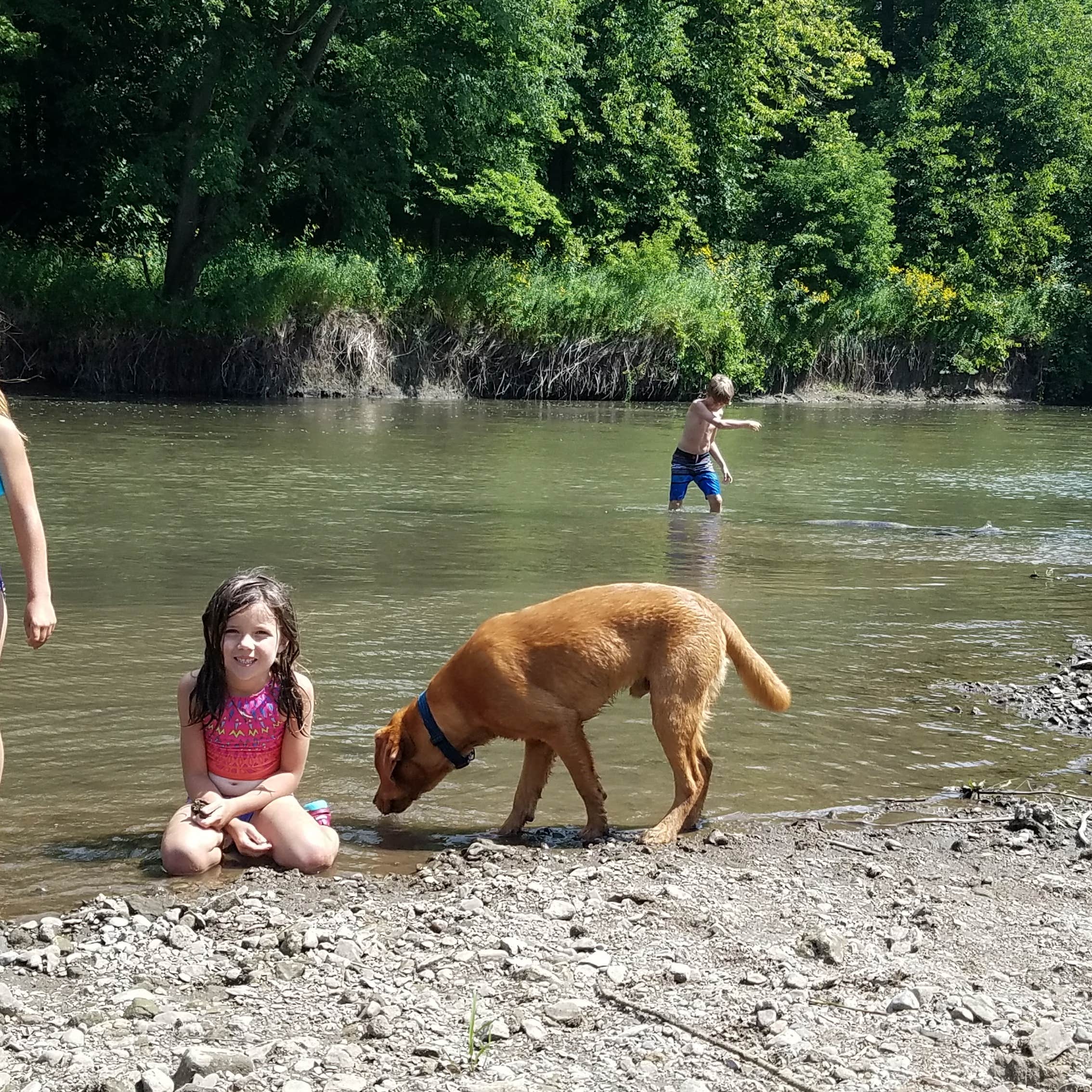 Escape to Serenity: Minnesota's Bluff Valley Campground - Your Gateway to Nature's Embrace