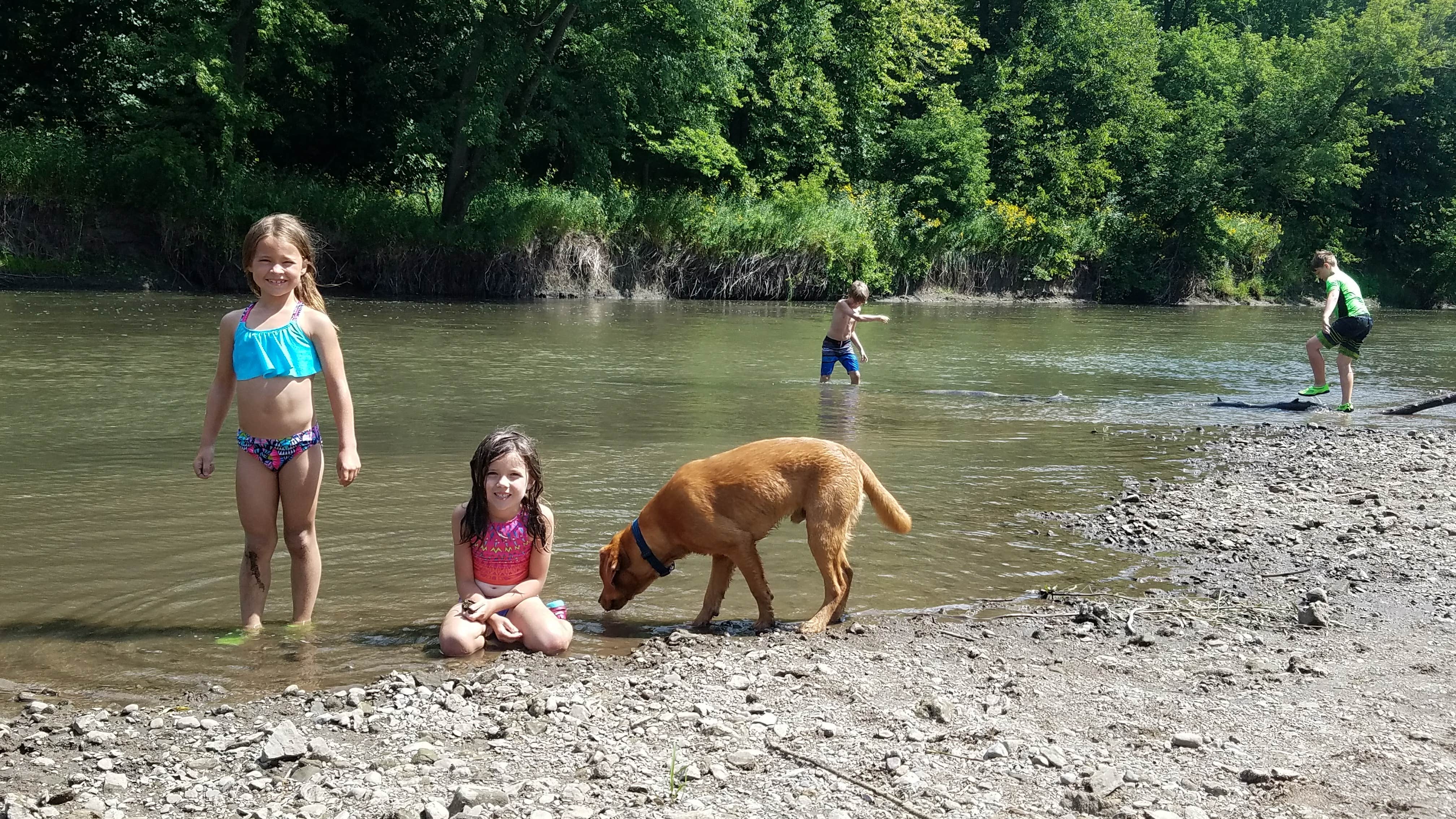 Camper submitted image from Bluff Valley Campground - 3