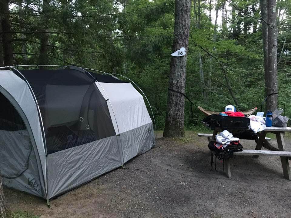 Camper submitted image from Wild Duck Adult Campground & RV Park - 4