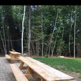 Review photo of Tops’l Farm by Kelli T., August 15, 2017