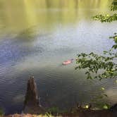 Review photo of Red House Area — Allegany State Park State Park by Amy M., August 15, 2017