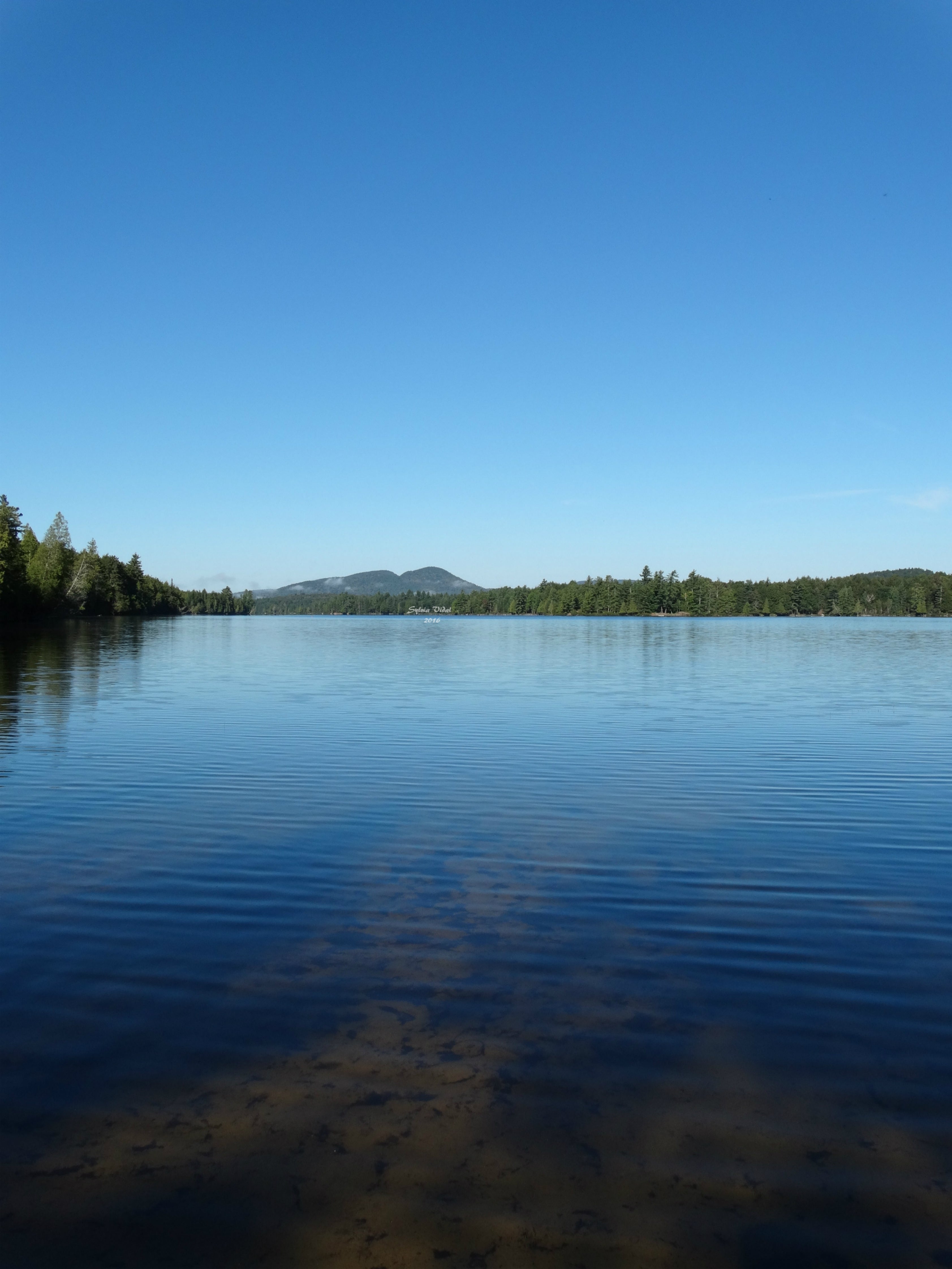 Camper submitted image from Forked Lake Adirondack Preserve - 3