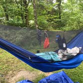 Review photo of Taylorsville Lake State Park Campground by Ro G., August 16, 2017