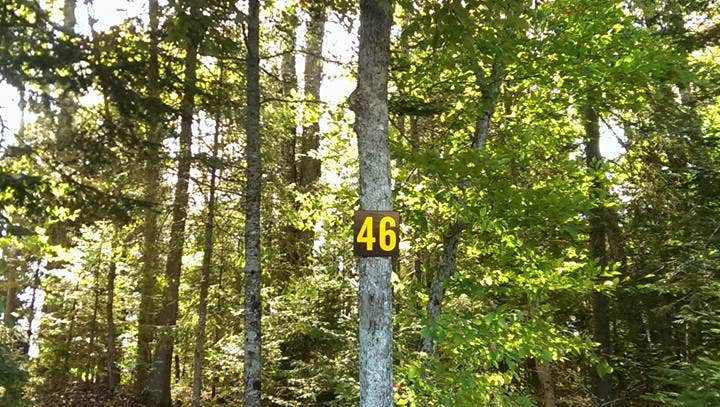 Camper-submitted photo at Stillwater Reservoir near Woodgate, NY